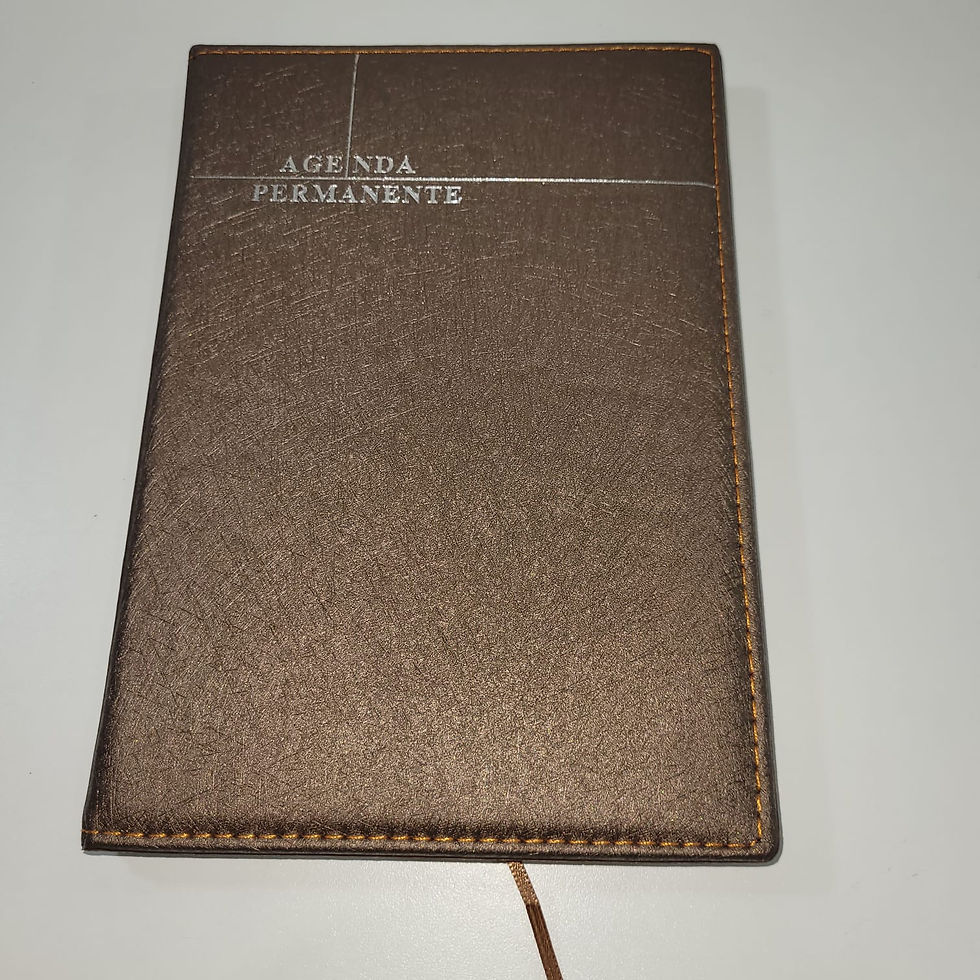 Miniatura: Agenda Permanente Executiva