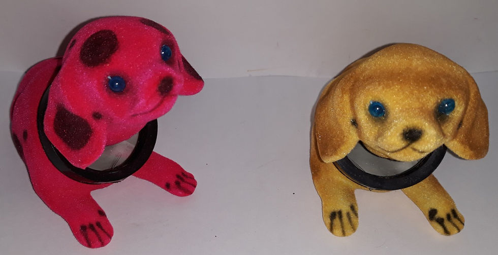 Miniatura: Cachorro Mexe a Cabeça