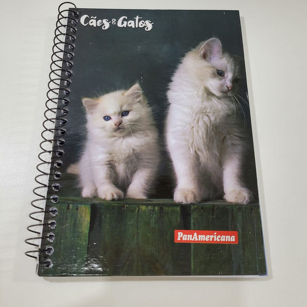 Miniatura: Caderno Pequeno Espiral Capa Dura 48 folhas Panamericana