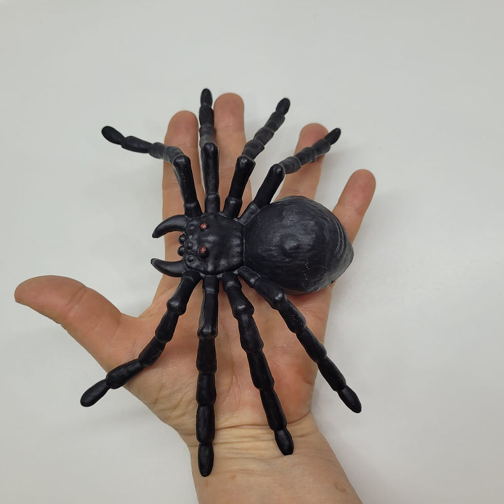 Miniatura: Aranha Venenosa Gigante Plástica Decorativa 19cm Halloween