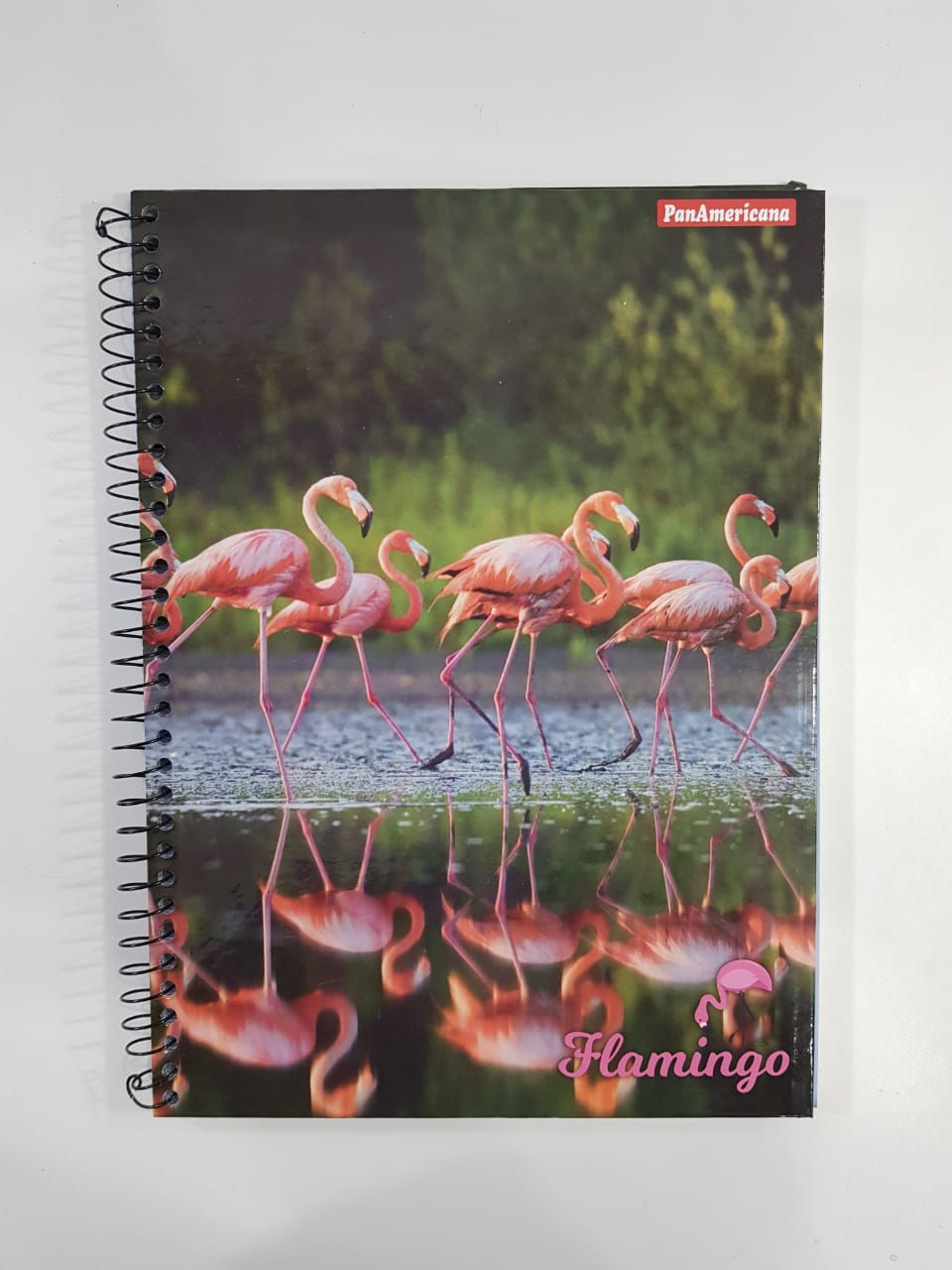 Miniatura: Caderno Escolar 1 Matéria