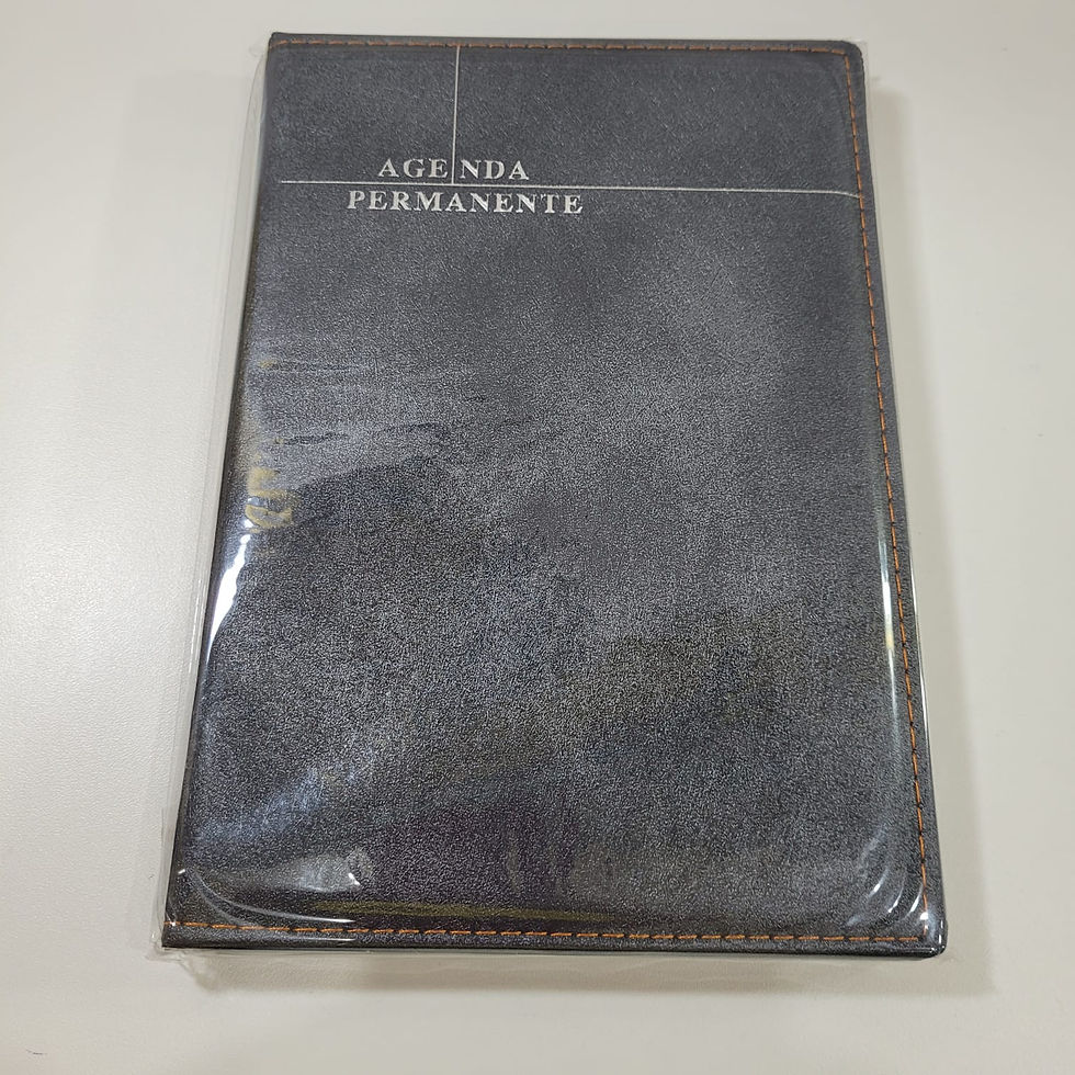 Miniatura: Agenda Permanente Executiva