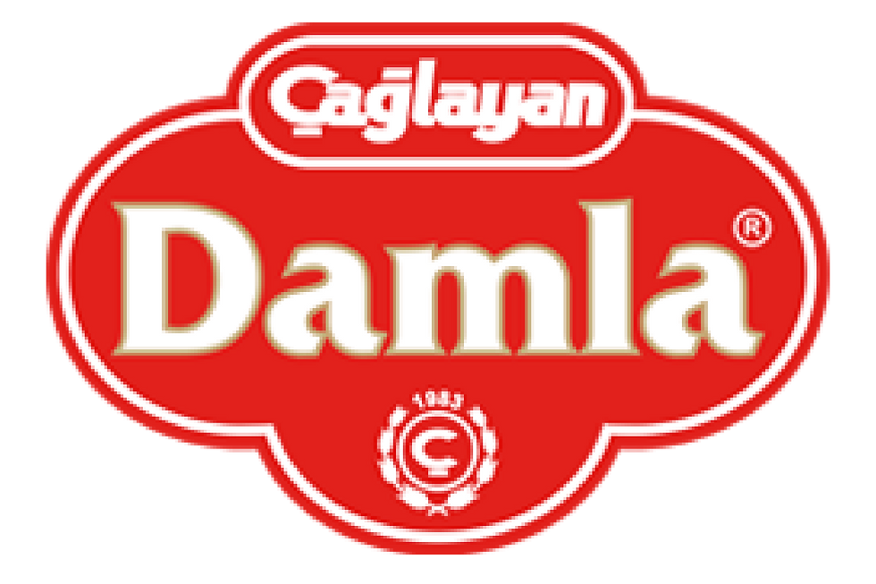 damla-logo.png
