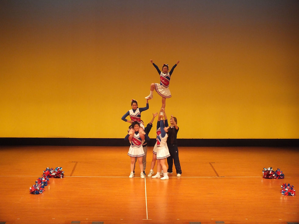 ﾌﾚﾝﾄﾞﾘｰｽﾃｰｼﾞ-12