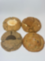 Variety Pack: Box of 4