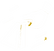 Icons-05_edited_edited.png