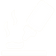 Icons-04_edited_edited.png