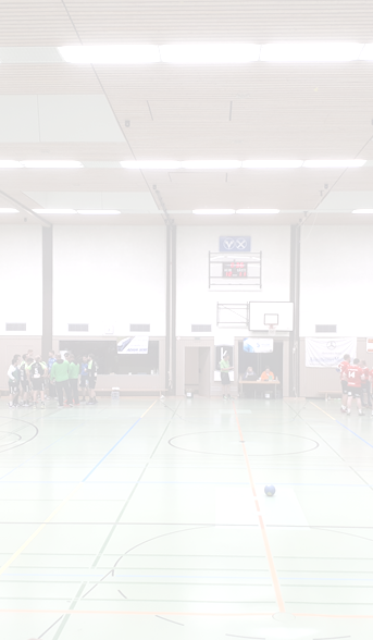 Halle Hintergrund transparent.PNG