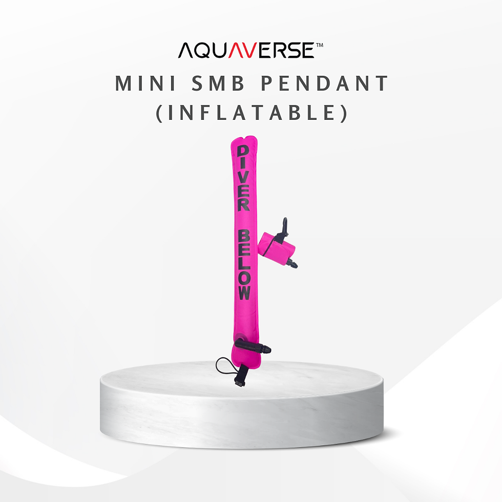 Thumbnail: Mini Inflatable SMB Pendant