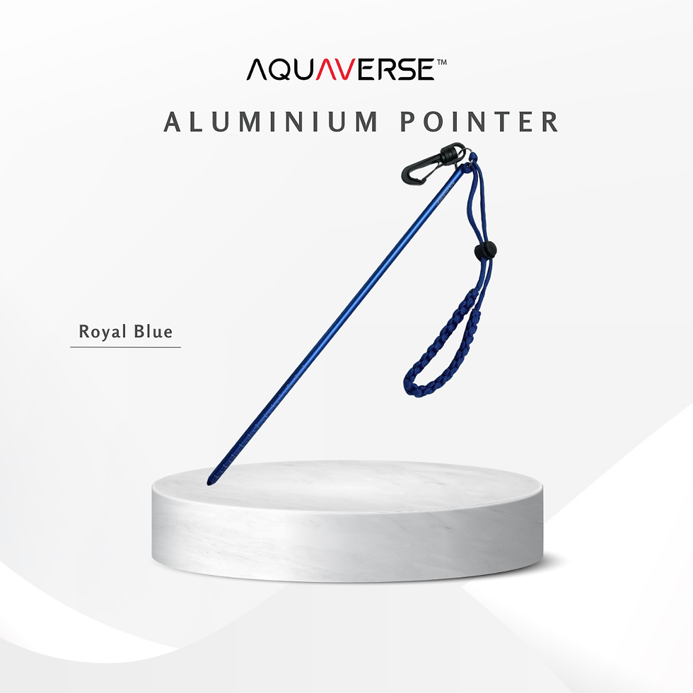 Thumbnail: Aluminum Pointer Stick with Handmade Handstrap