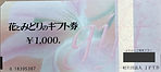 S__42205188_edited.jpg