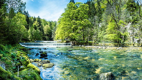 2019_GI-1130739032_Wald_und_Natur.png