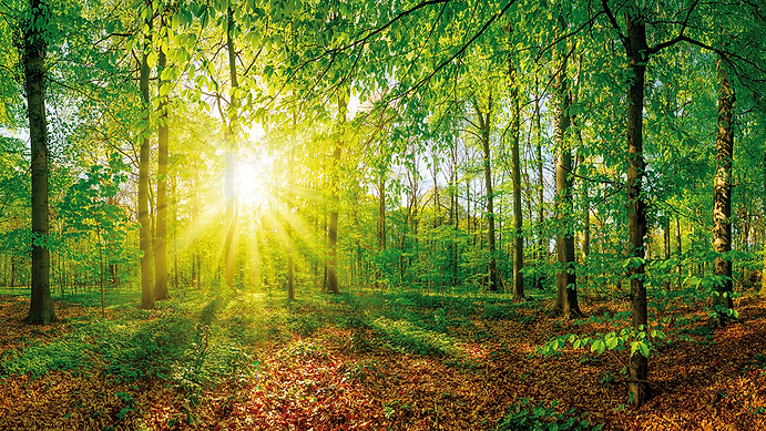 Fotolia_108755194_XL.png