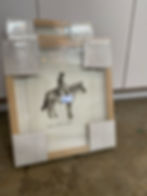 IMG_2417.jpeg