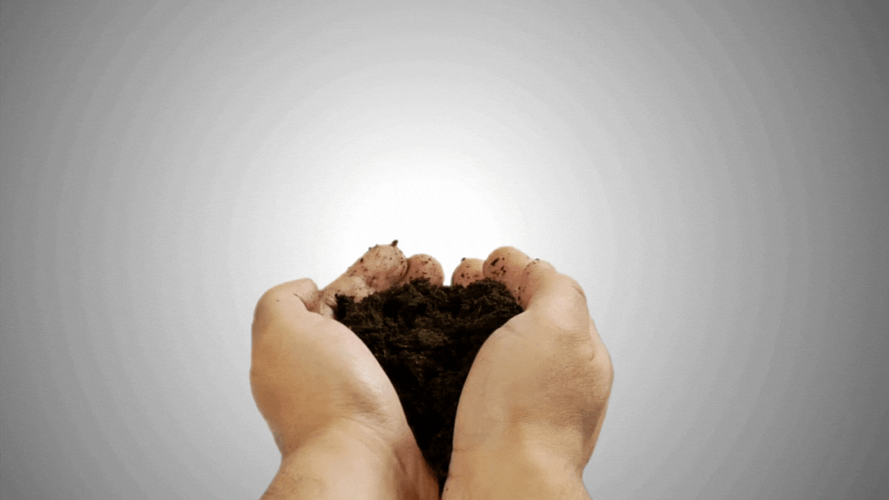 current projects fix (1280 × 720 px).gif