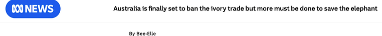 Bee-Elle-Wildlife-Elephants-Ivory-Trade.png
