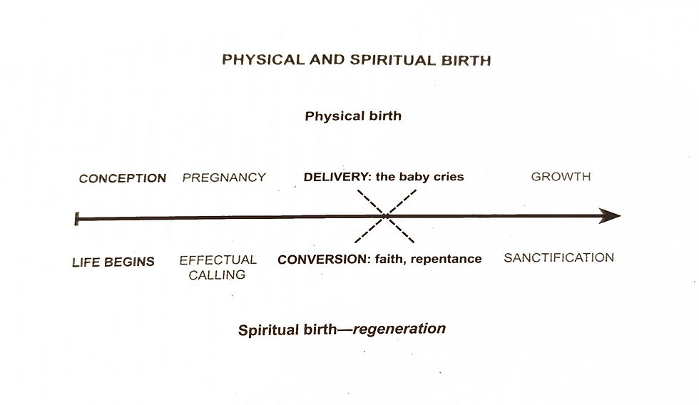 "Beginnings: Understanding How we Experience the New Birth" by Stephen Smallman