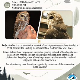 project-owlnet-friday-10-16-8pm-10pm