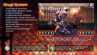 FEXL-Gougi-System
