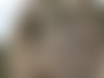 Curso Rappel Seguro para Excursionistas I