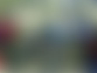 Taller Introducción al Cañonismo