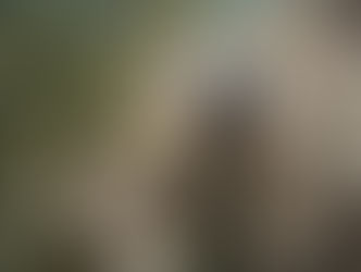 Curso Rappel Seguro para Excursionistas II