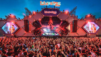 Lolla 2.jpeg