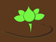 logo nymphéa fleurs