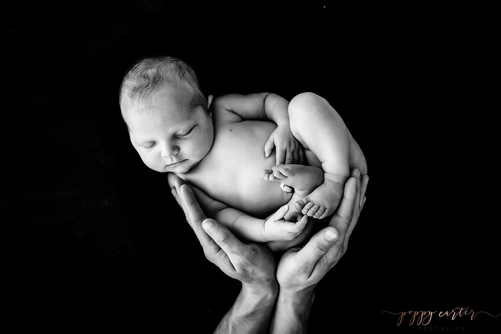 Newborn Photographer in Aylesbury | Poppy Carter Portraits