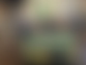 Nova Temporada do Tô na Pista: Hélio Pessoa Abre 2026 com Décadas de História do Hipismo Brasileiro