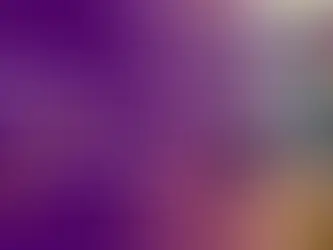 Why Growing Companies Need a Reliable Courier Service for Businesses in Brooklyn