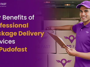 Key Benefits of Professional Package Delivery Services by PUDO Fast