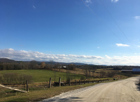 Gracefield Gravel Gobbler (85km)