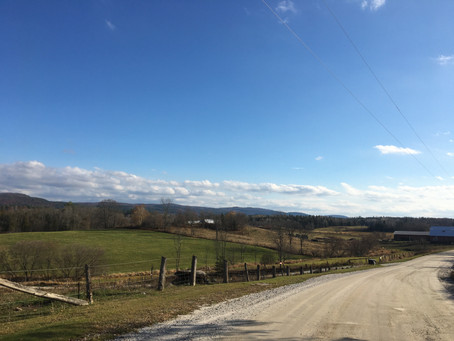 Gracefield Gravel Gobbler (85km)