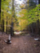 Section of unmaintained south of Wolfe Grove Rd.