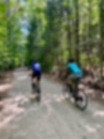 Chemin Wiggins