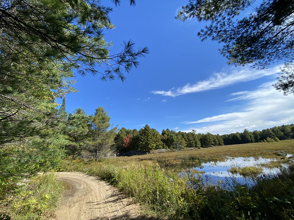 The Iron Mine Meander (125/90km)