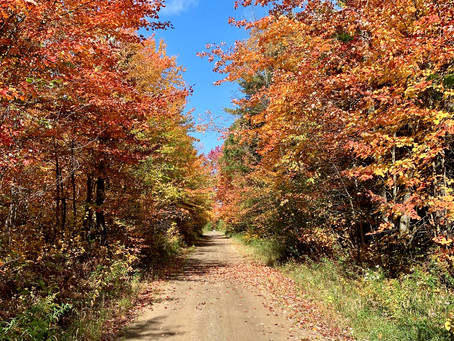 Larose Loop (57 km)