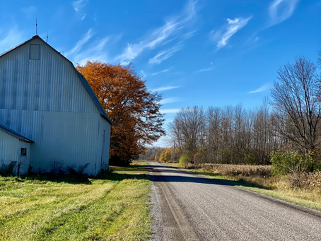 Maxville Stravaig (84km)