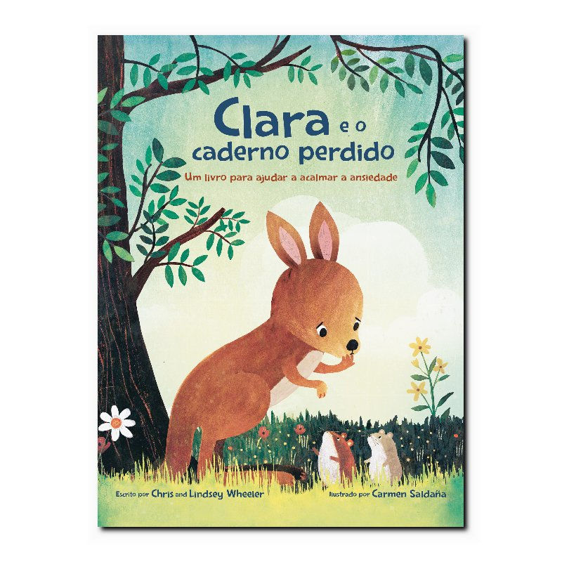 CLARA E O CADERNO PERDIDO: UM LIVRO SOBRE COMO ACALMAR A ANSIEDADE