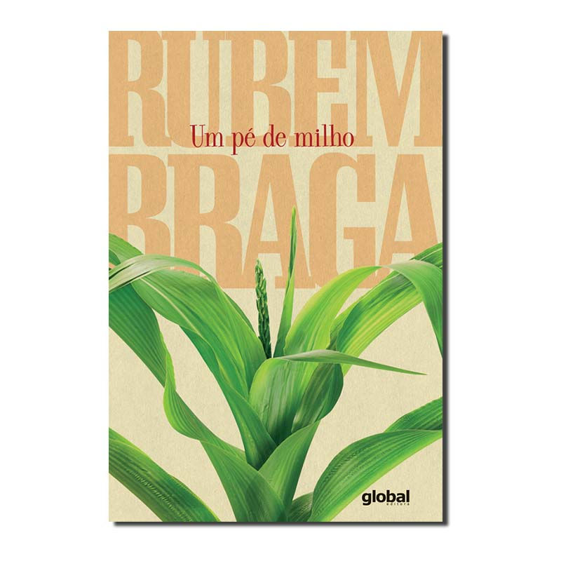 UM PÉ DE MILHO