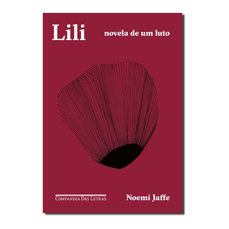 LILI - NOVELA DE UM LUTO