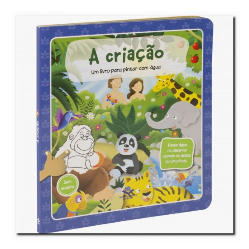 UM LIVRO PARA PINTAR COM ÁGUA - A CRIAÇÃO: TRADUÇÃO NOVOS LEITORES (TNL)