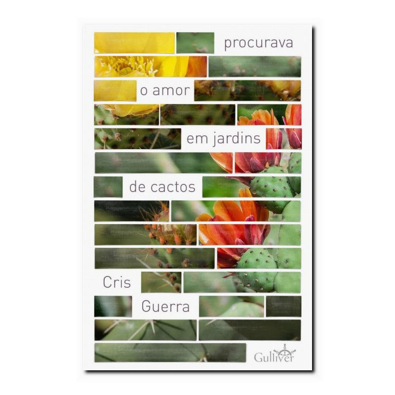 PROCURAVA O AMOR EM JARDINS DE CACTOS