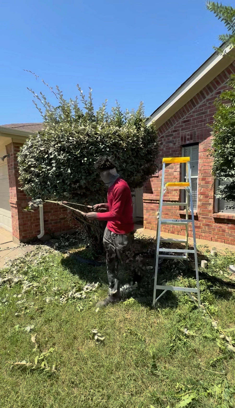 bush-hedge trim