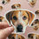 Thumbnail: Custom Pet Stickers/ Magnet