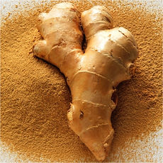 ginger.jpg
