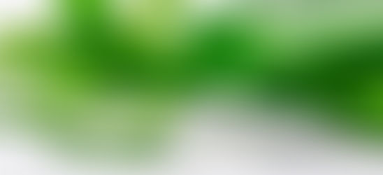 Τα 15 κυριότερα οφέλη της Αλόε Βέρα