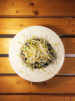 plate-light2
