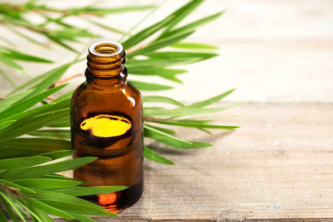 Τα 10 σημαντικότερα οφέλη του Tea Tree Oil / Melaleuca alternifolia